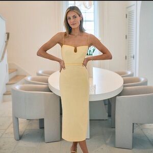 Beautiful Antonio Melanie dress NEVER WORN